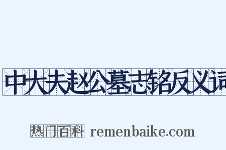 中大夫赵公墓志铭反义词是什么意思的图片